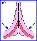 Immagine dell'esercizio